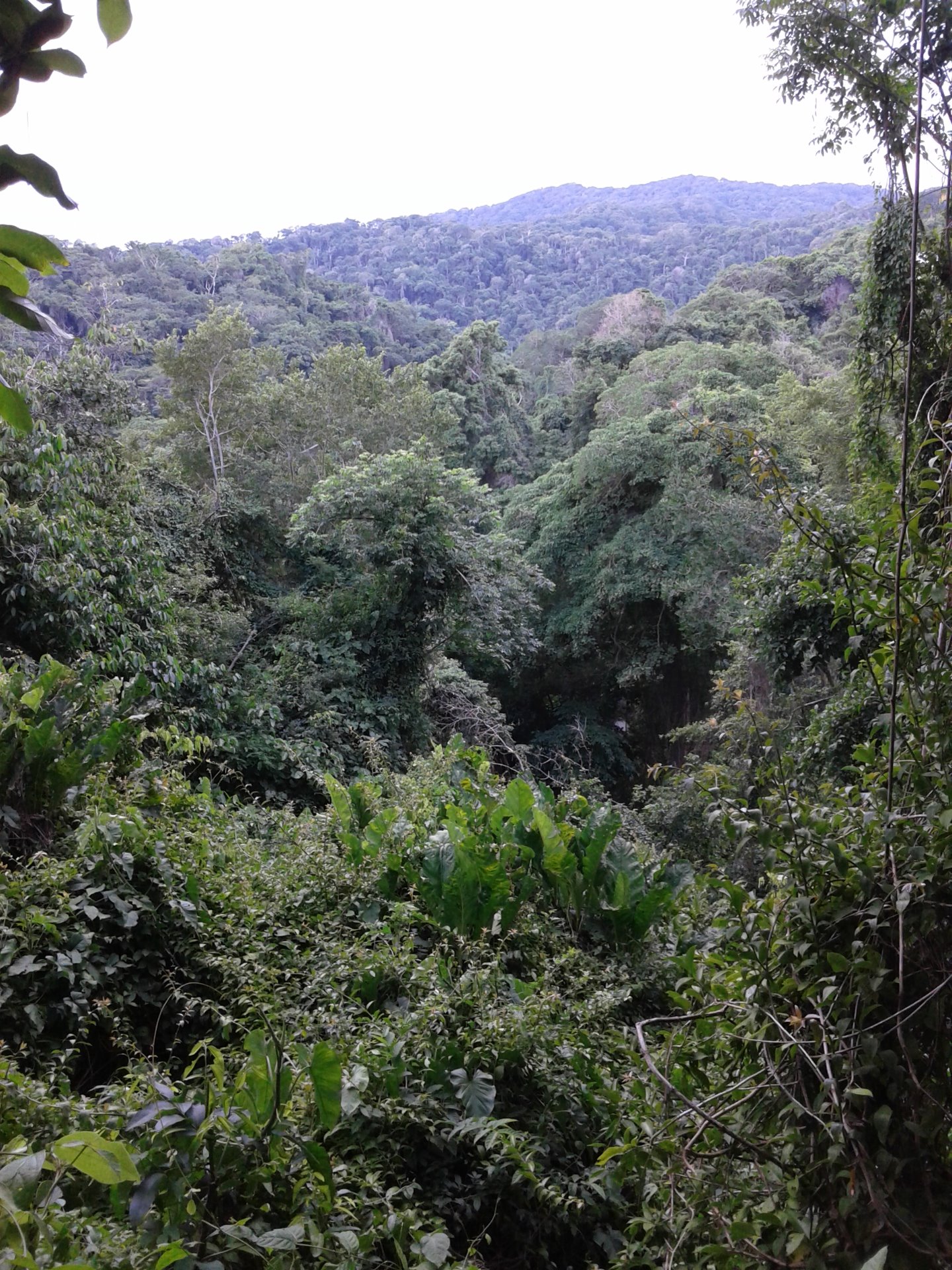 Colombia 2016